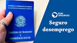 Seguro-desemprego pode ser estendido em 2020: entenda os projetos de lei