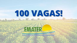 Emater AL solicita concurso com 100 vagas