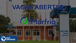 Vagas na Marfrig: 560 estão abertas em novembro