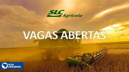 Vagas de emprego na SLC Agrícola para 48 cargos em novembro; saiba como concorrer