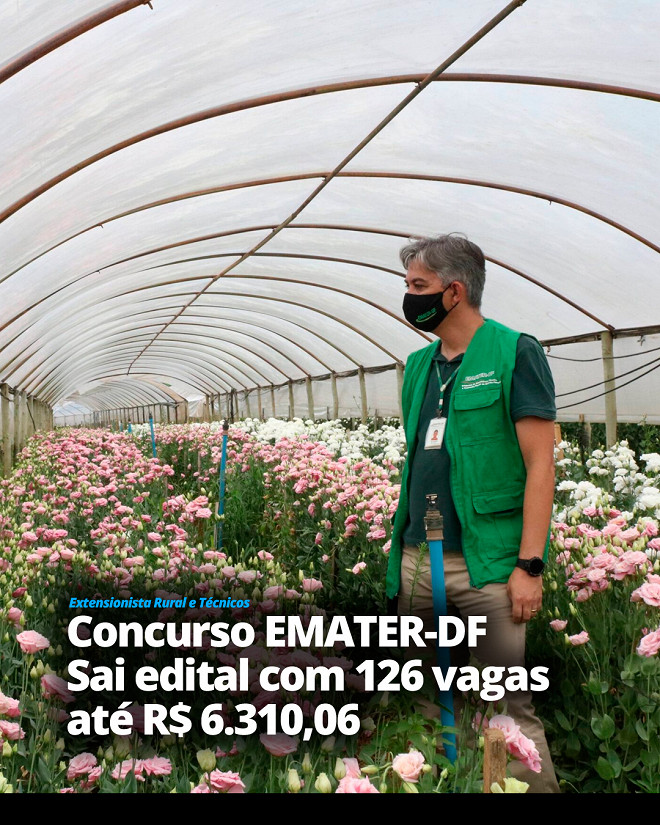 Concurso Emater Df Inscri Es S O Reabertas