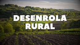 Desenrola Rural é pauta na Câmara para renegociar dívidas de pequenos agricultores