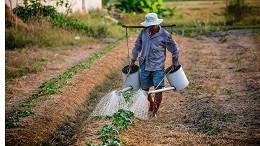 Saiu no DOU! Governo autoriza renegociação de dívida rural no RS