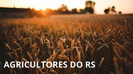 Governo perdoa dívidas de Agricultores do RS afetados pela enchente