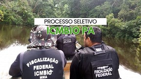 Processo Seletivo Icmbio Es Inscri O