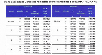 Créditos: Divulgação/MGI